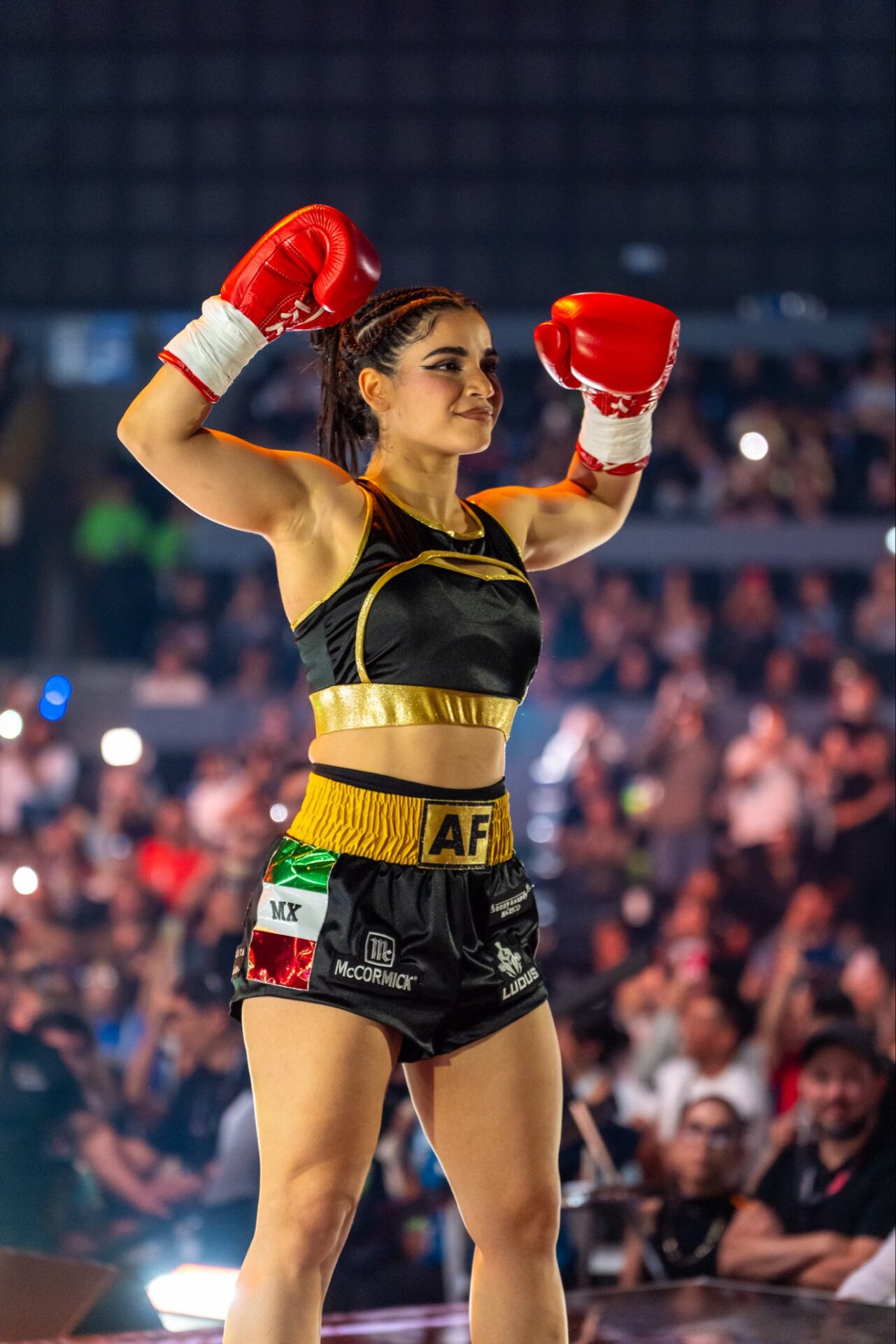 Alana se retira oficialmente del boxeo tras su derrota en Supernova: Genesis Alana tras su último combate.