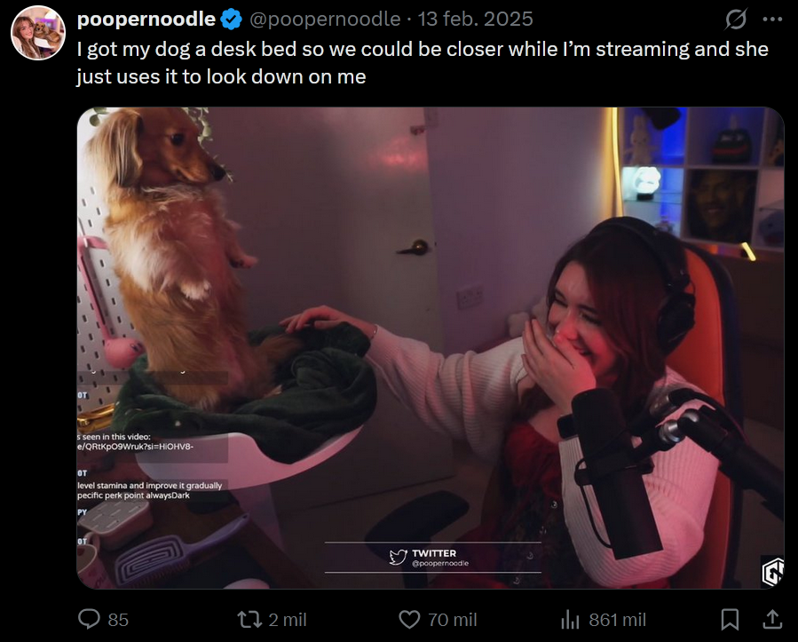 Pea: la perrita que juega Yuumi y gana partidas en League of Legends Pea es la protagonista del streaming de Poopernoodle.