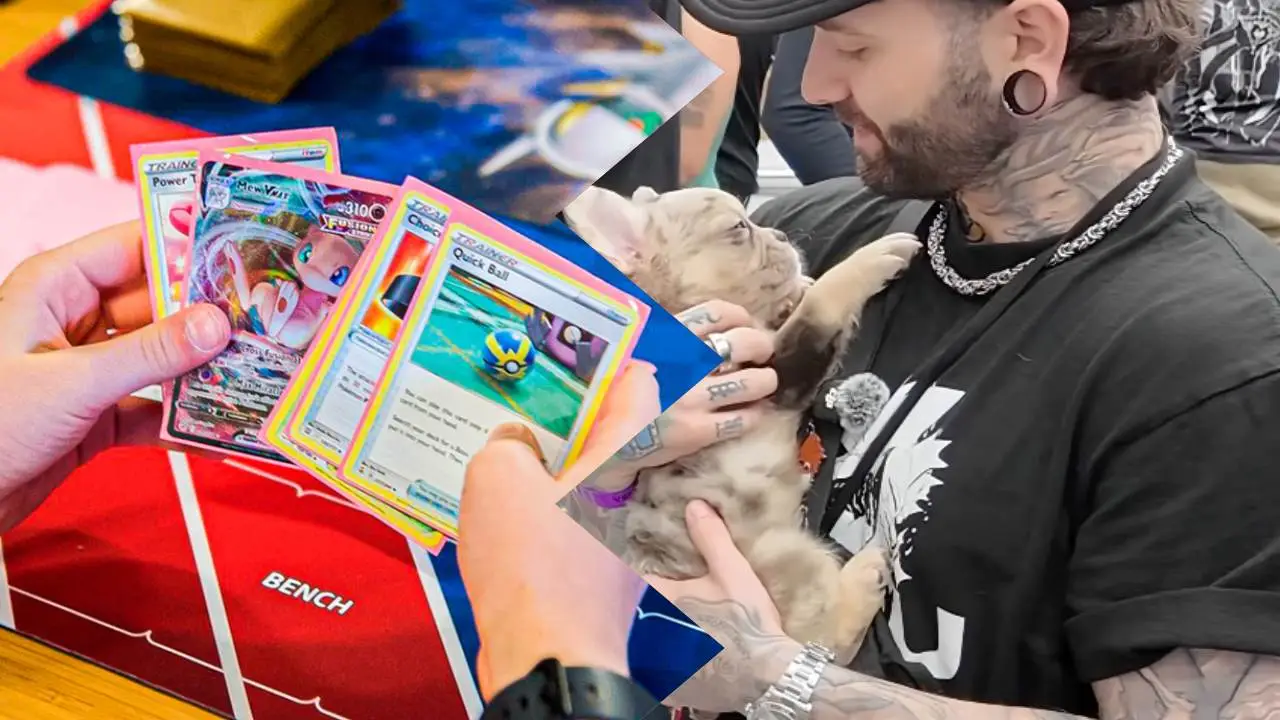 Intercambian perros por cartas de Pokémon TCG
